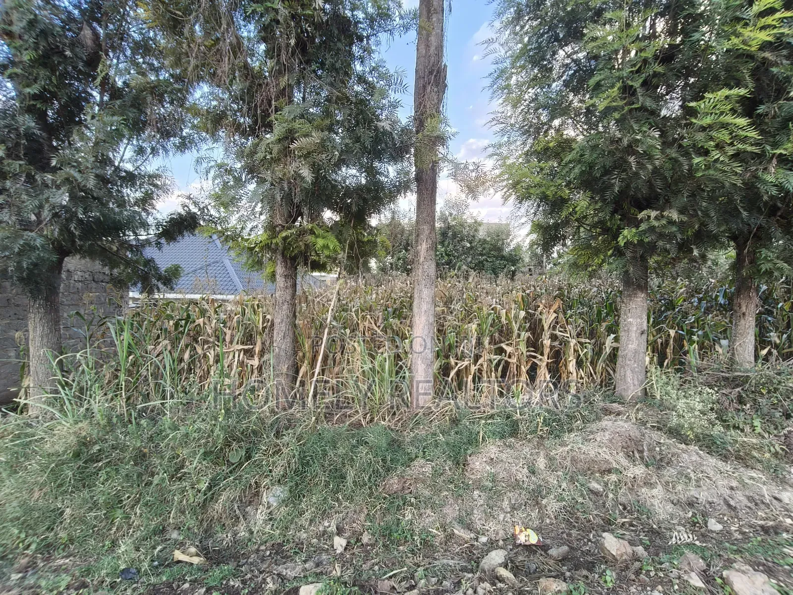 Prime Residential Eighth Acre Plot on Sale in Ngong Olkeri Near Tarmac in Ol Keri