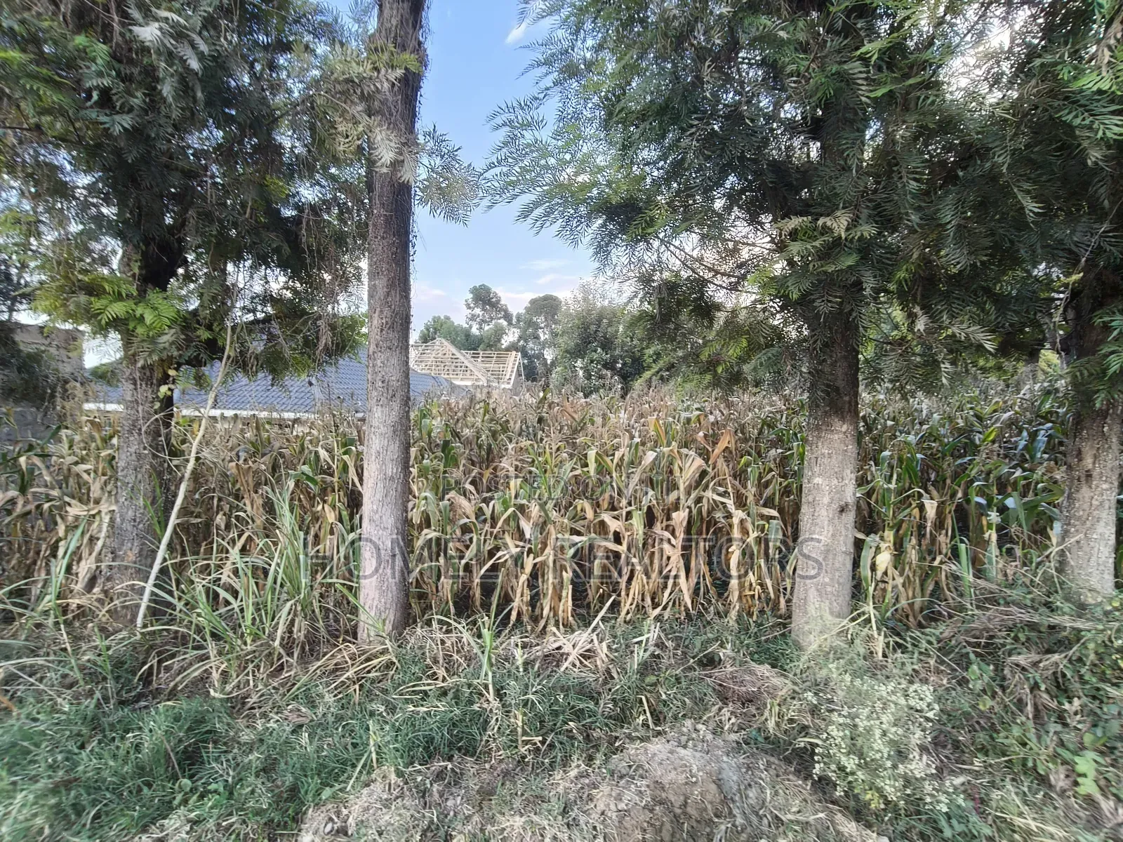 Prime Residential Eighth Acre Plot on Sale in Ngong Olkeri Near Tarmac in Ol Keri