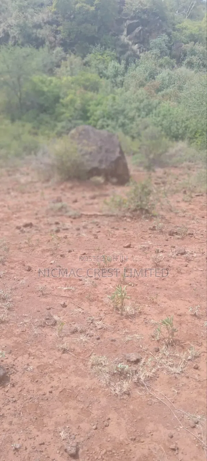 1/2 Plots For Sale in Ewaso Kendong