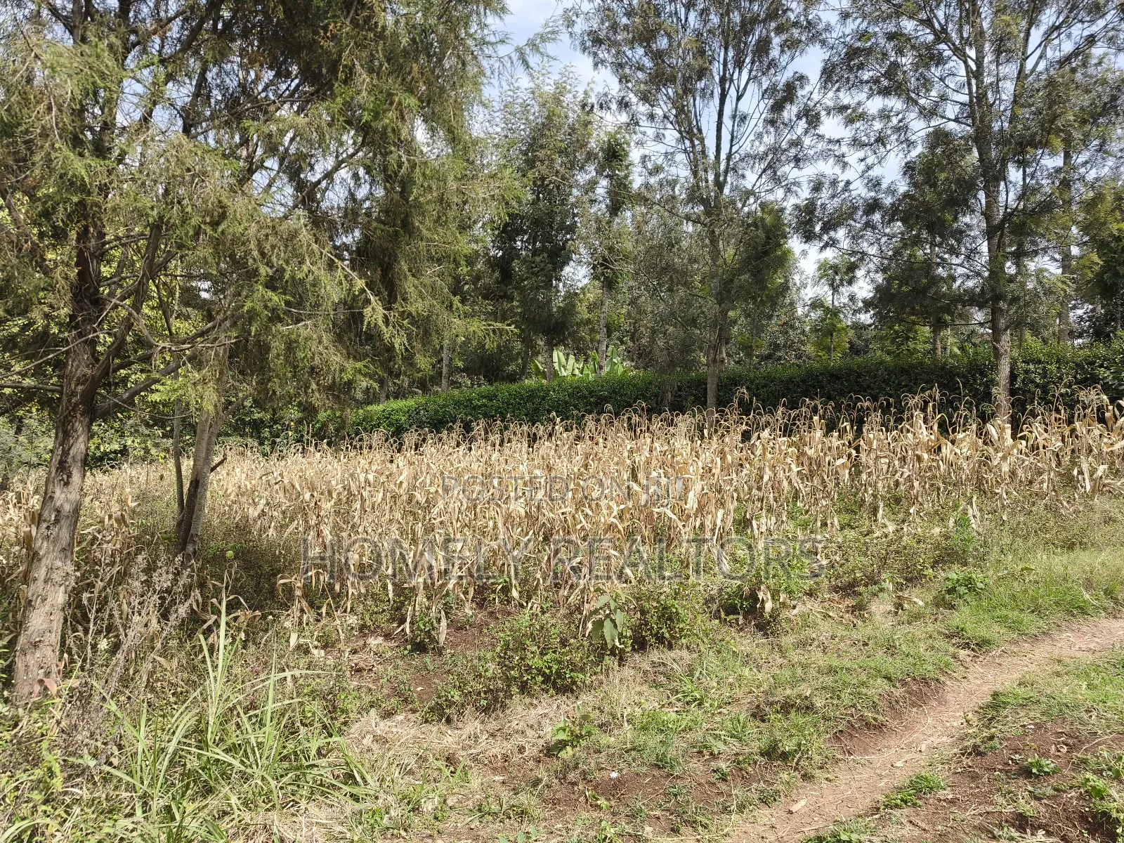 Residential Eighth Acre Plot in Ngong, Memusi. Red Soil Near Iat SCH in Matasia