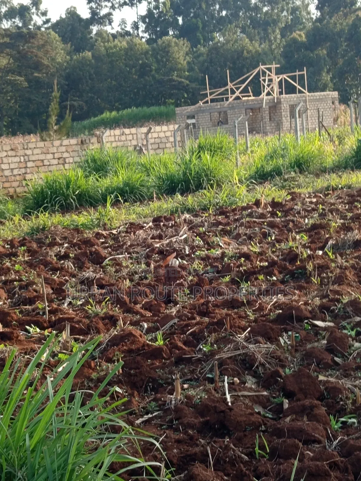 50*100 Plot in Kikuyu
