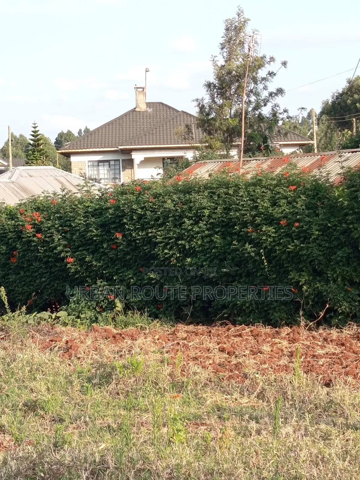 50*100 Plot in Kikuyu