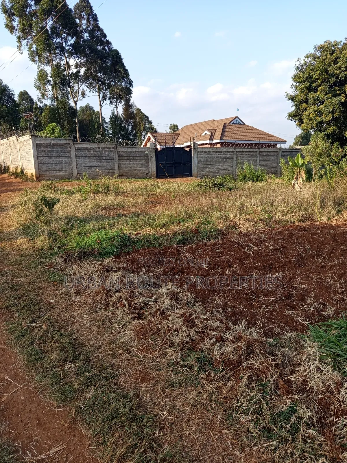 50*100 Plot in Kikuyu