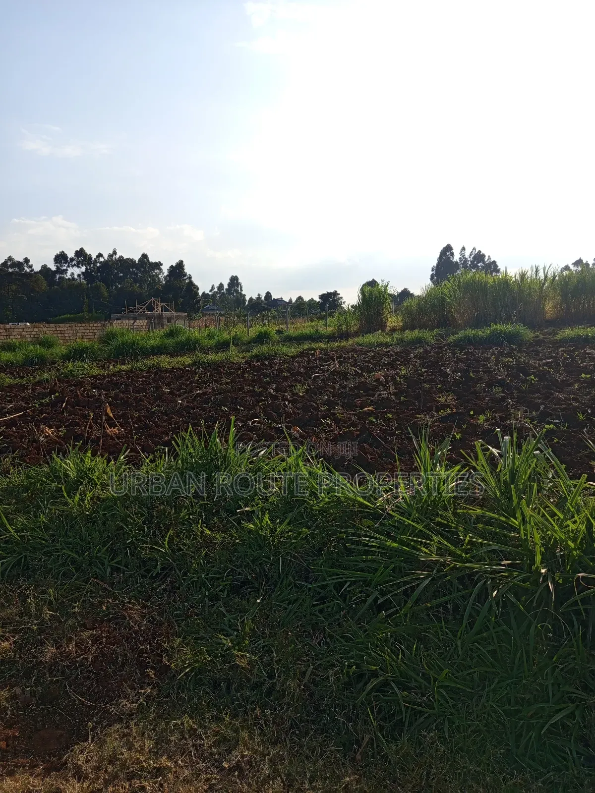 50*100 Plot in Kikuyu