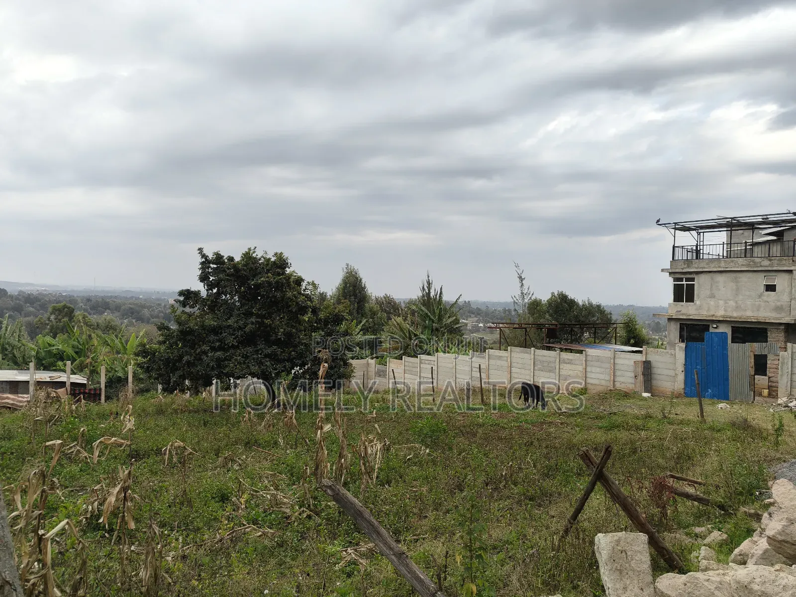 Prime Quarter Acre Plot in Ngong Seketo. Red Soil With Panoramic View in Ngong
