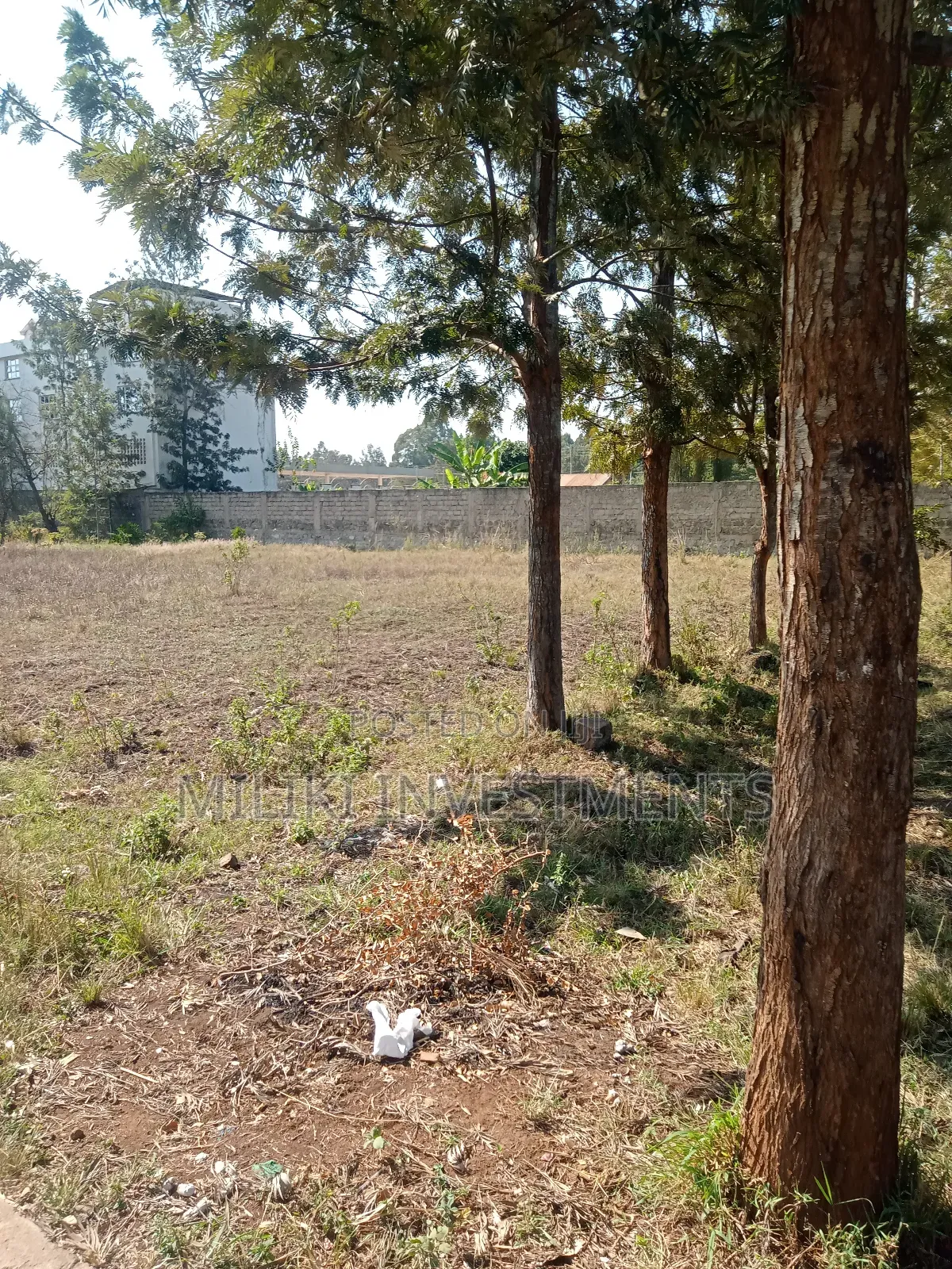  Kenol Quarter Plot on Tarmac – Perfect for Commercial Use! in Kimorori/Wempa