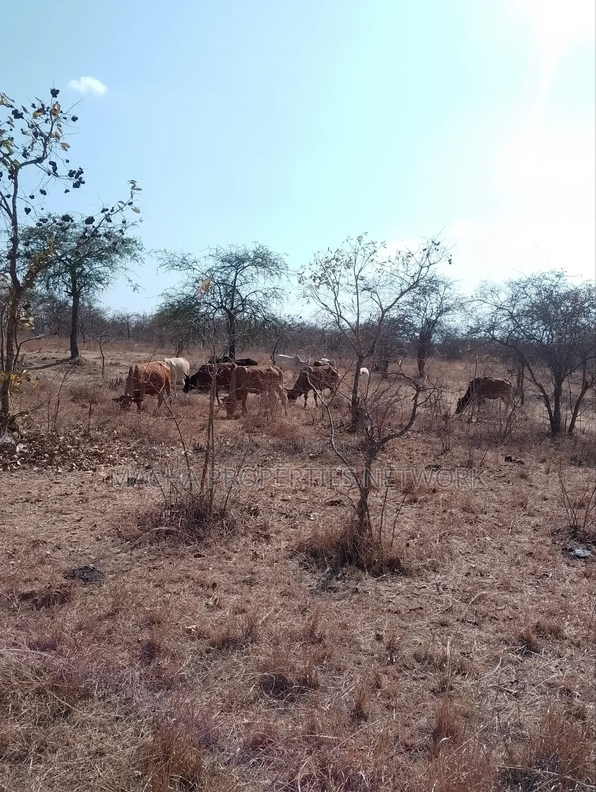 For Sale 9 Acres Located 7km Off-Machakos Kitui Rd-Mwala Maaueli in Makutano