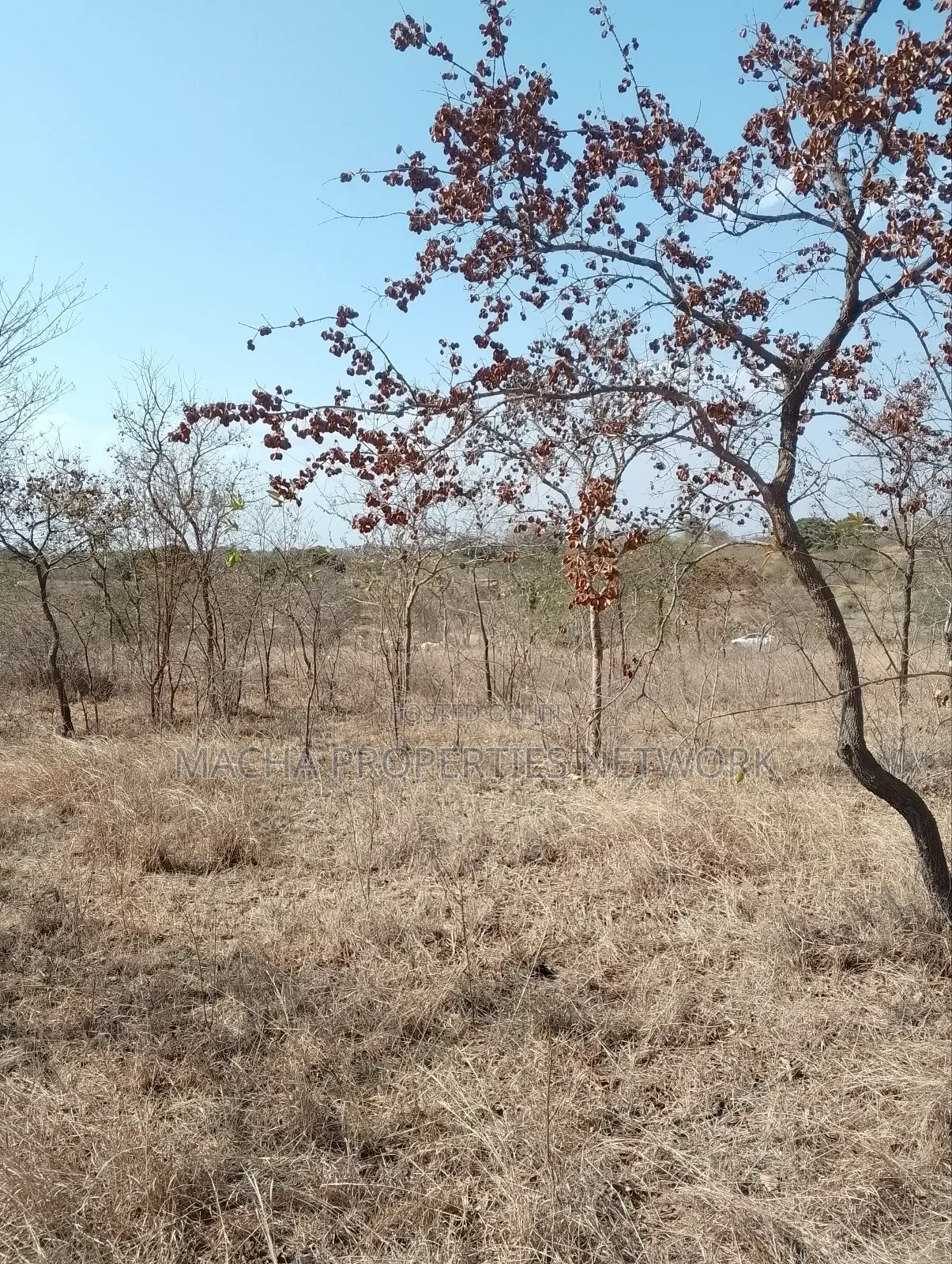 For Sale 9 Acres Located 7km Off-Machakos Kitui Rd-Mwala Maaueli in Makutano
