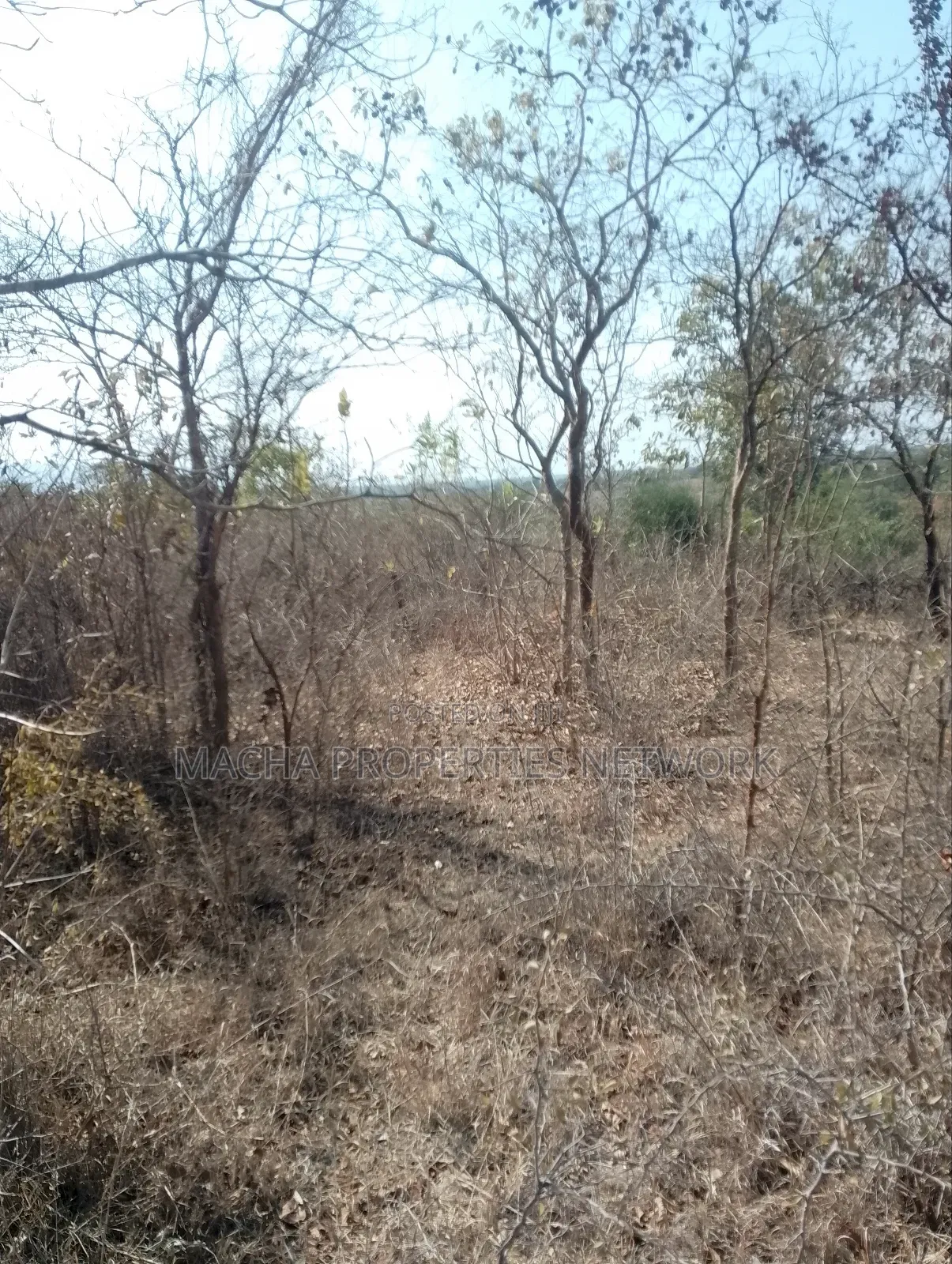 For Sale 9 Acres Located 7km Off-Machakos Kitui Rd-Mwala Maaueli in Makutano