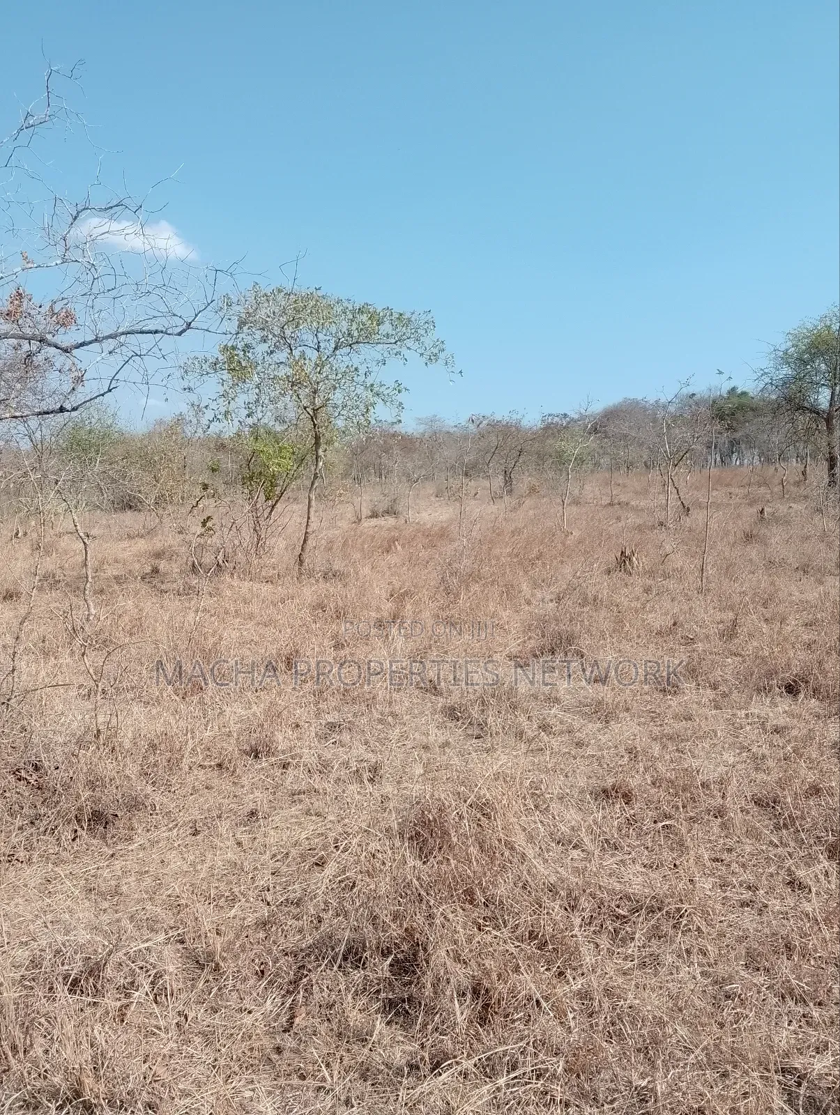 For Sale 9 Acres Located 7km Off-Machakos Kitui Rd-Mwala Maaueli in Makutano