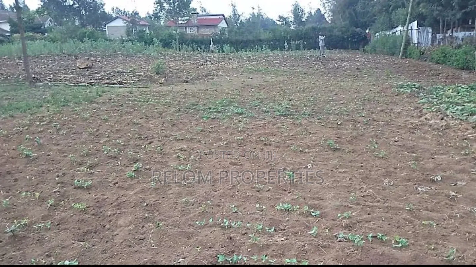 Prime 1.3-Acre Marrum Plot of Land for Sale in Karen in Karen