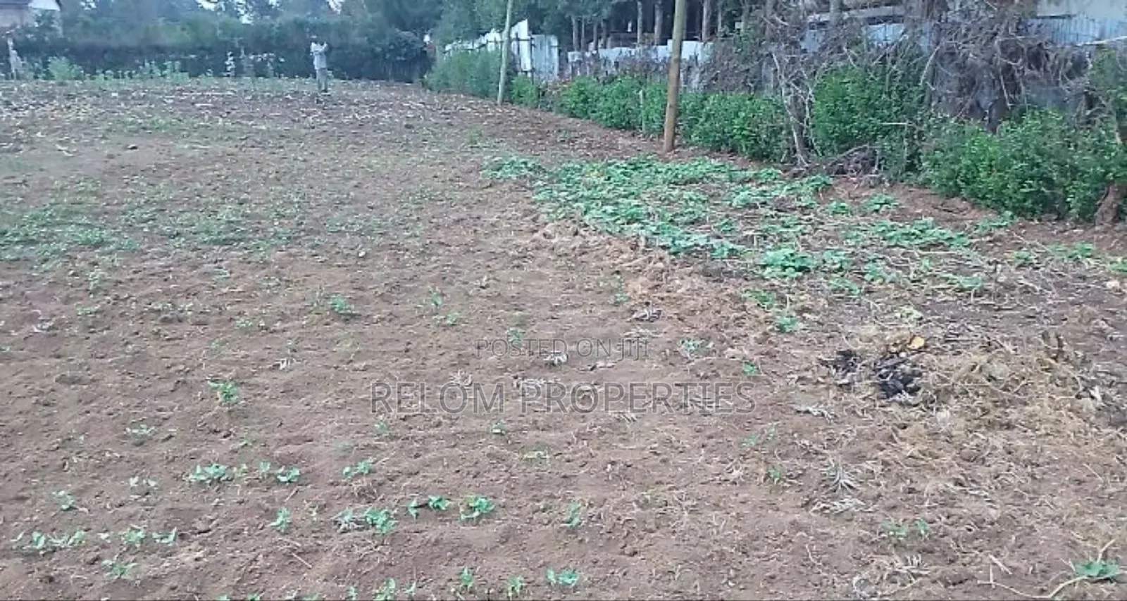 Prime 1.3-Acre Marrum Plot of Land for Sale in Karen in Karen