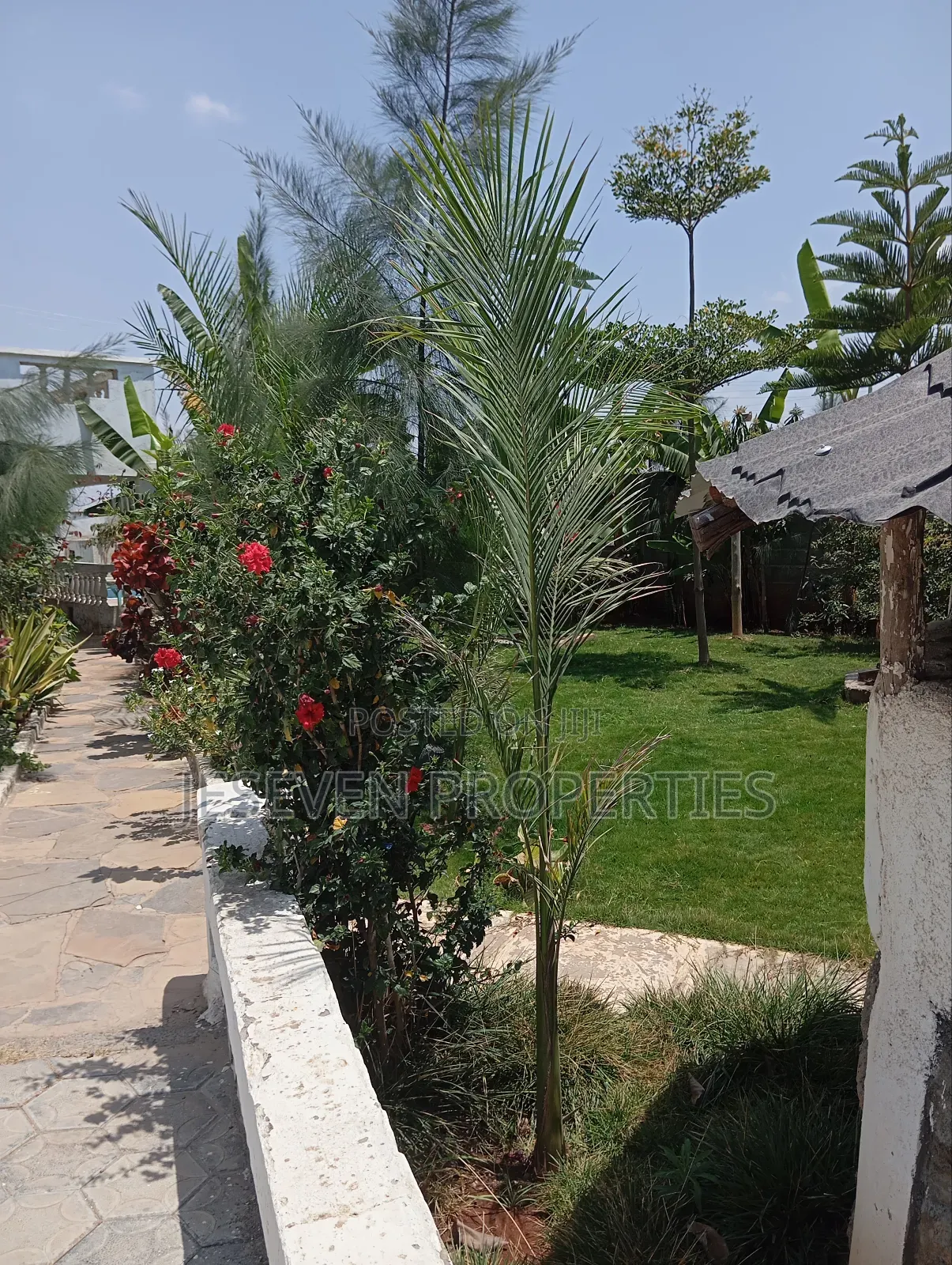 12bdrm Mansion in Syokimau Rim House for rent in Syokimau