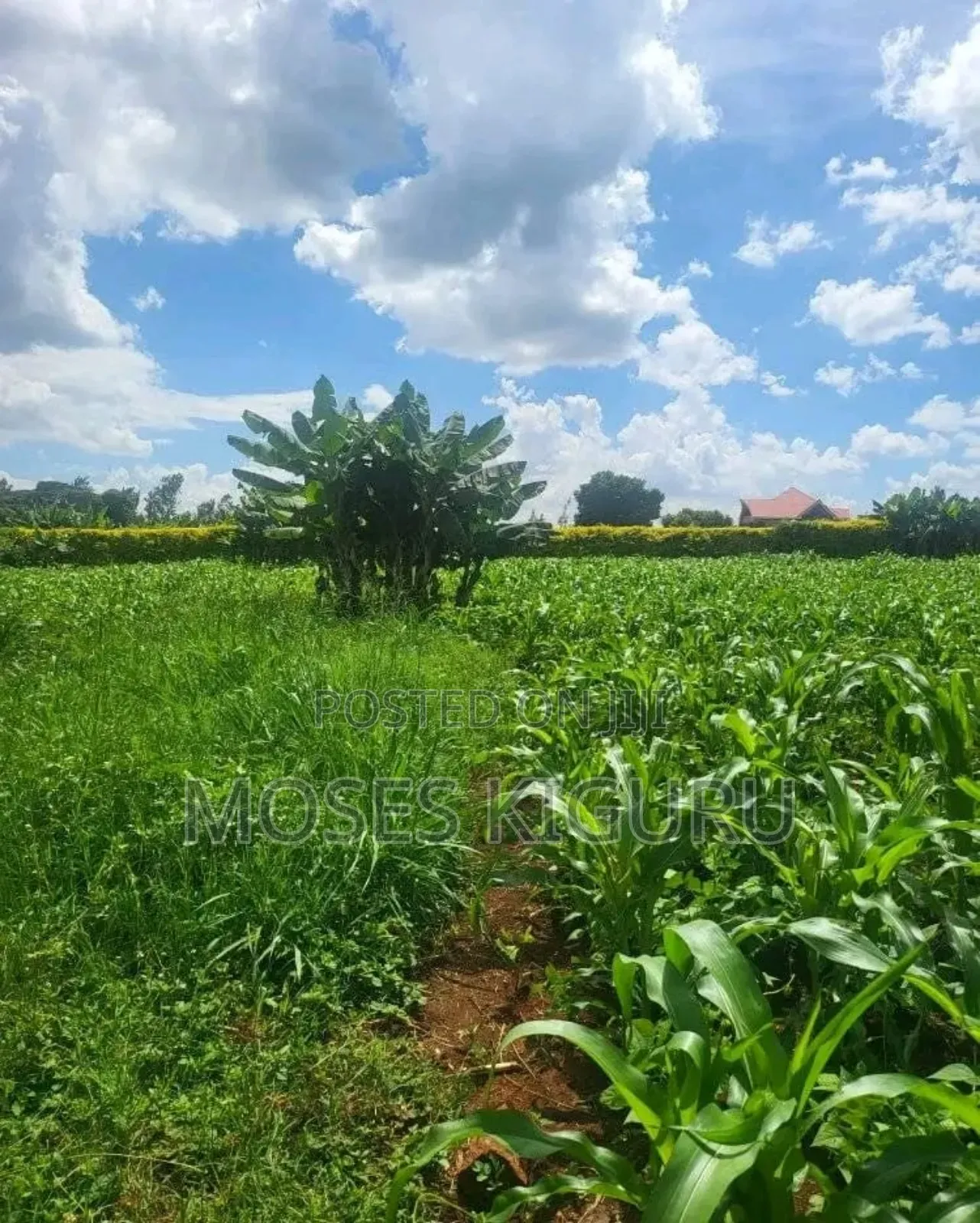 Mugutha Prime 40x80 Plots. in Ruiru