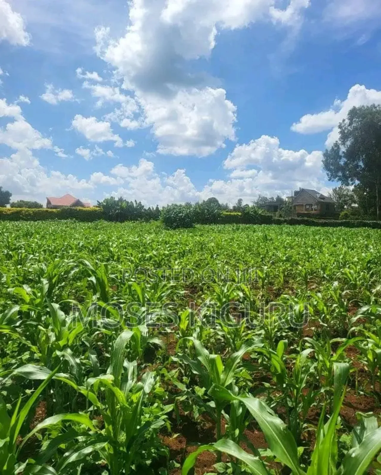Mugutha Prime 40x80 Plots. in Ruiru