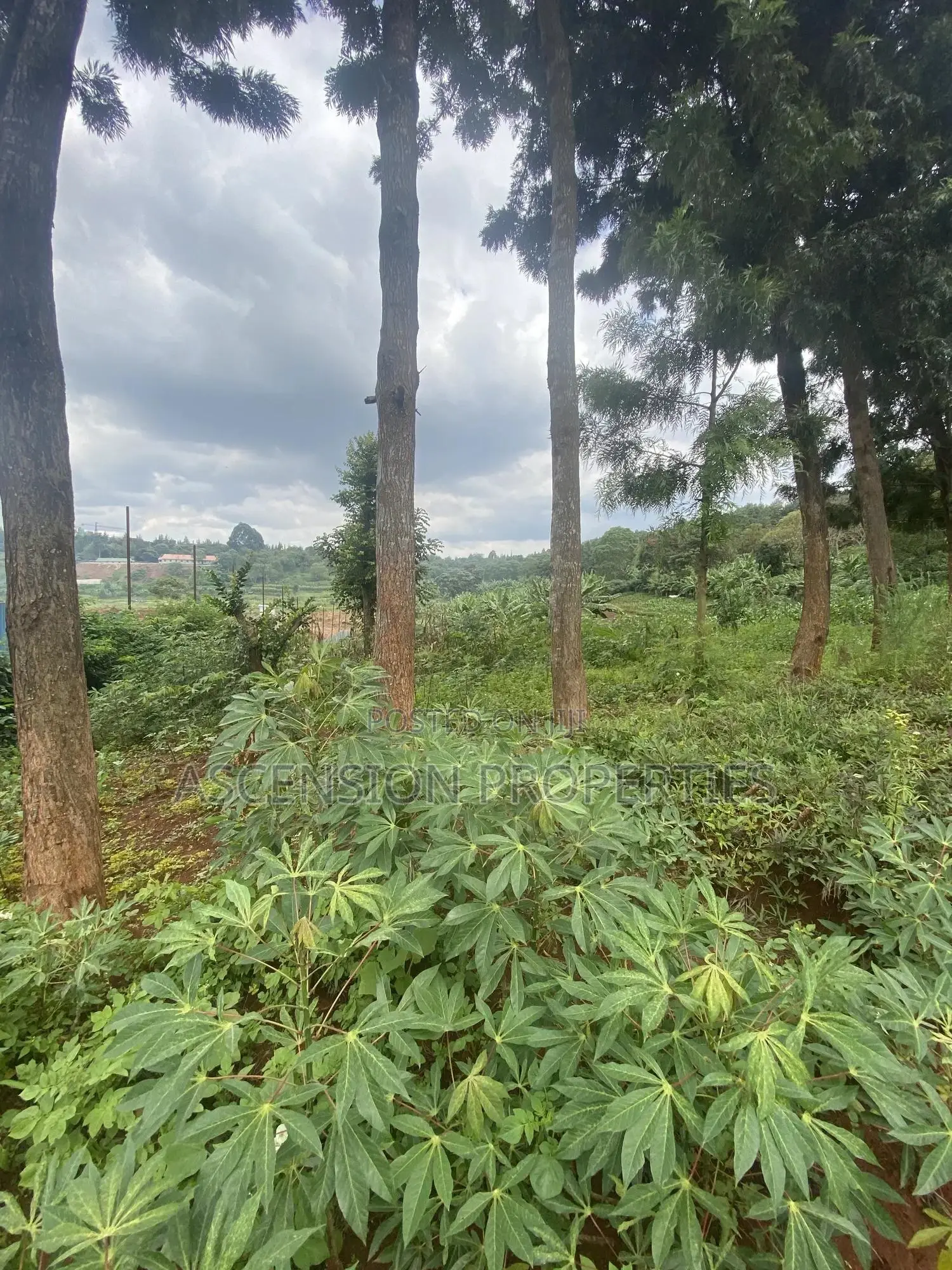 New Loresho 3.5 Acres Near Vet Lab in Loresho
