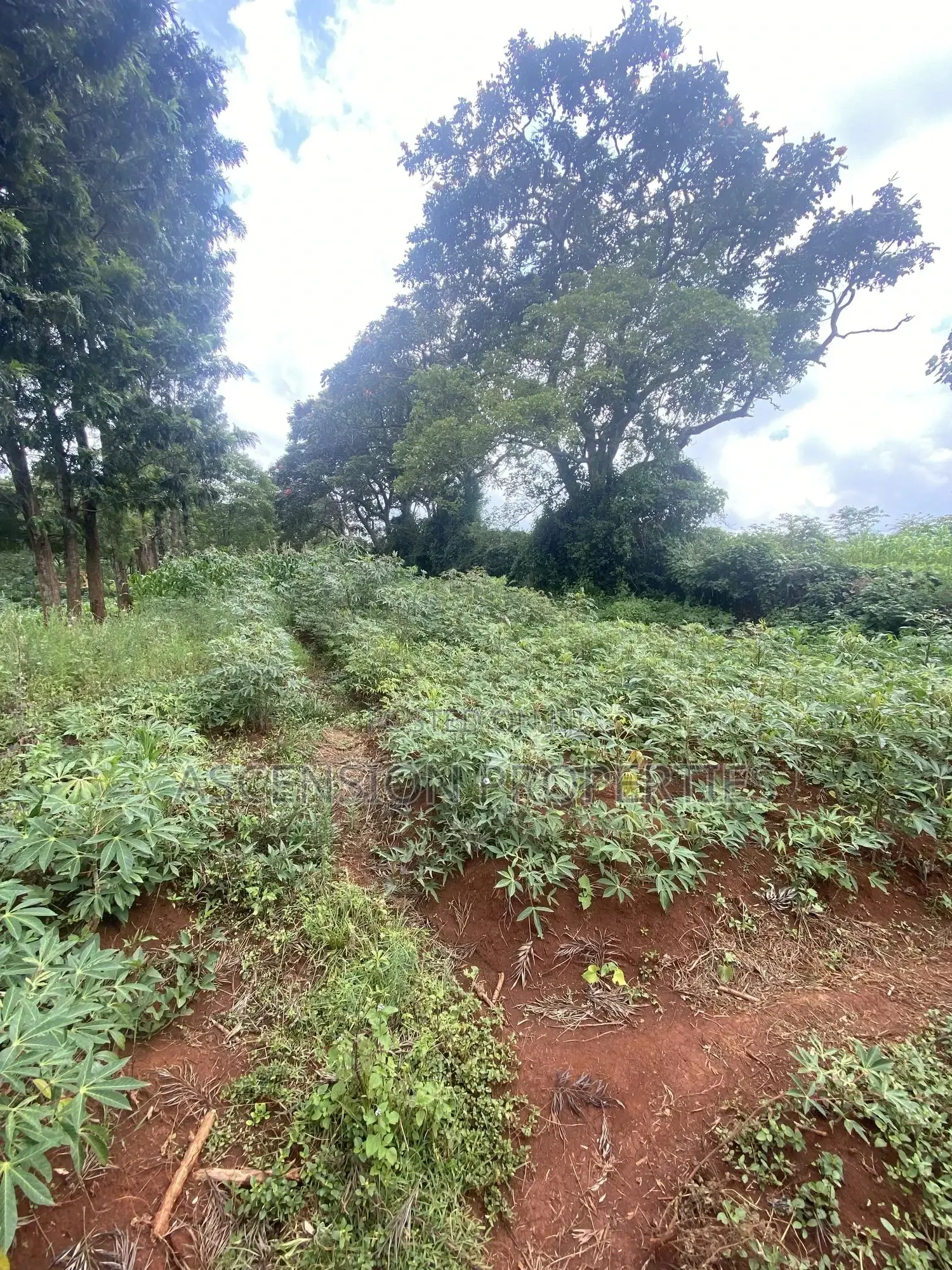 New Loresho 3.5 Acres Near Vet Lab in Loresho