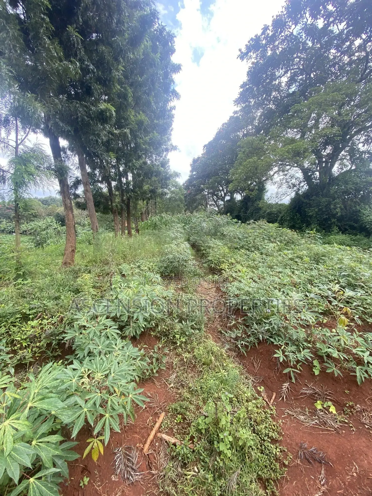 New Loresho 3.5 Acres Near Vet Lab in Loresho