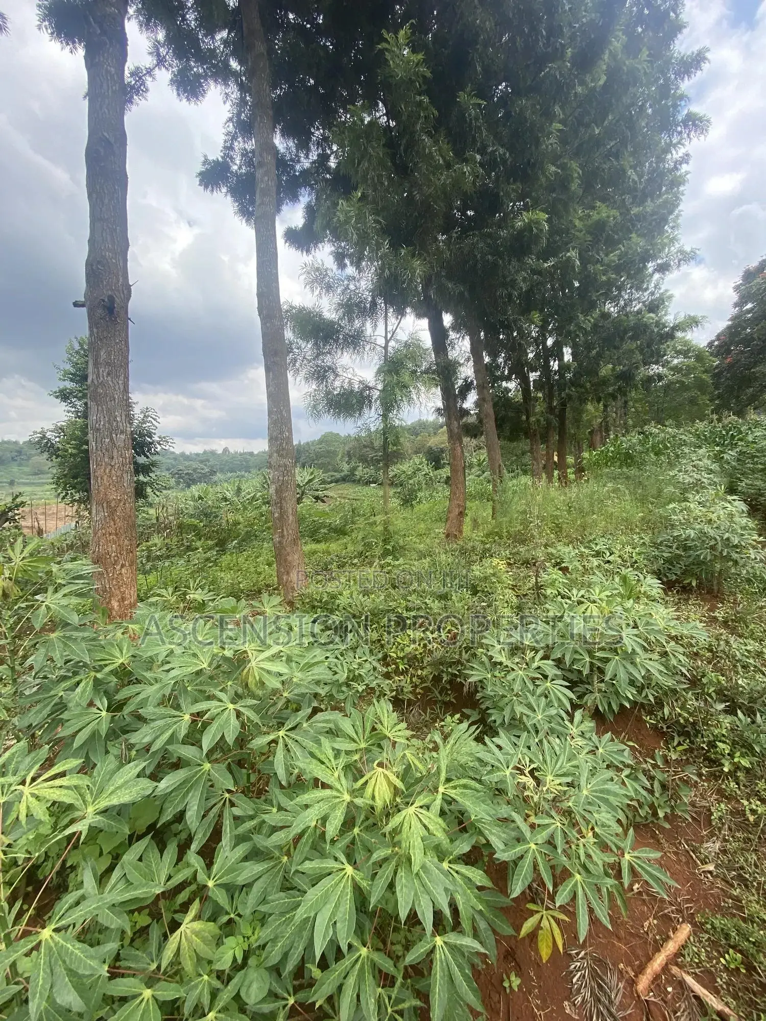 New Loresho 3.5 Acres Near Vet Lab in Loresho