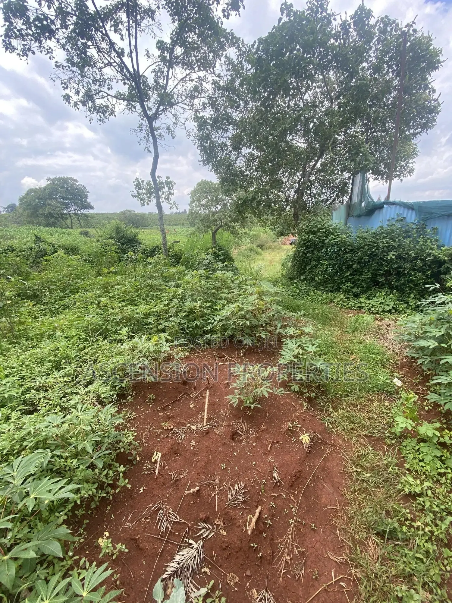 New Loresho 3.5 Acres Near Vet Lab in Loresho