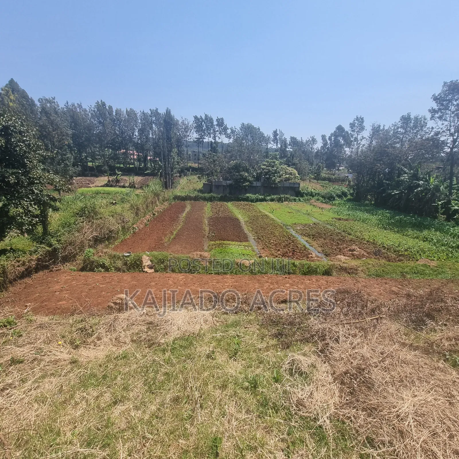 1/2 Acre Rhino Park Road at 40m in Karen
