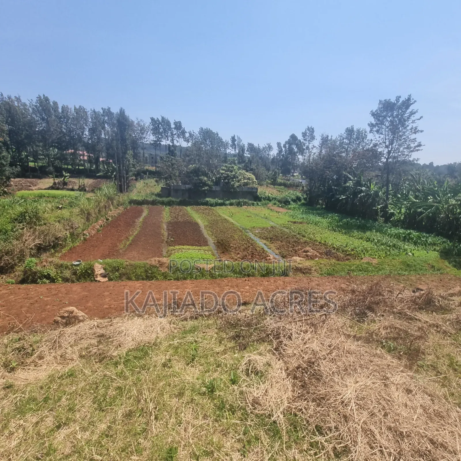 1/2 Acre Rhino Park Road at 40m in Karen