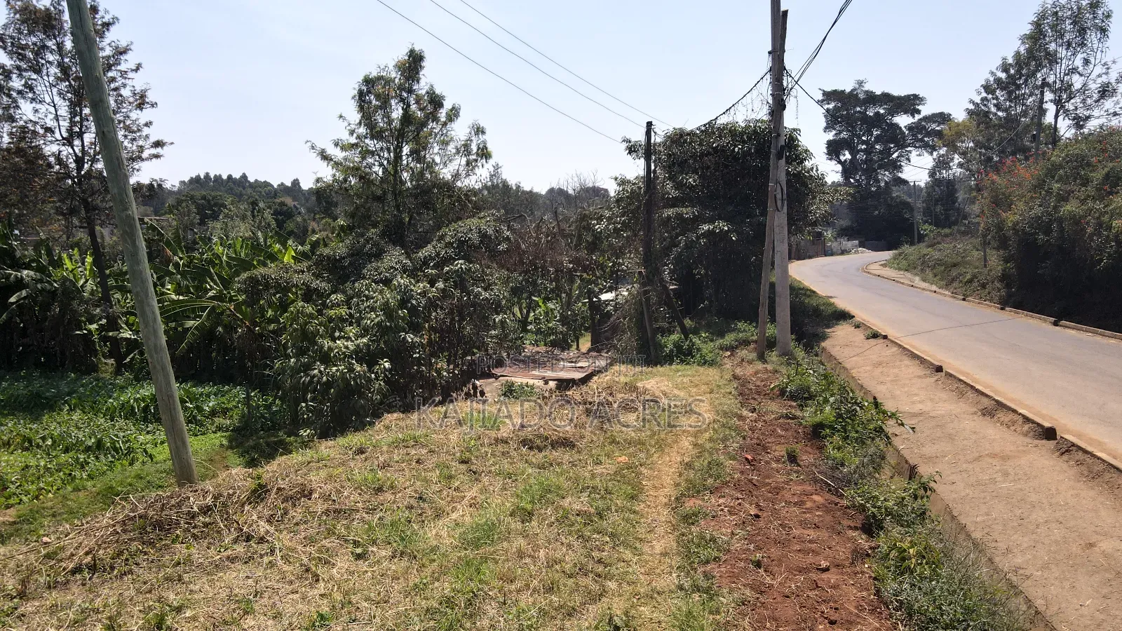 1/2 Acre Rhino Park Road at 40m in Karen