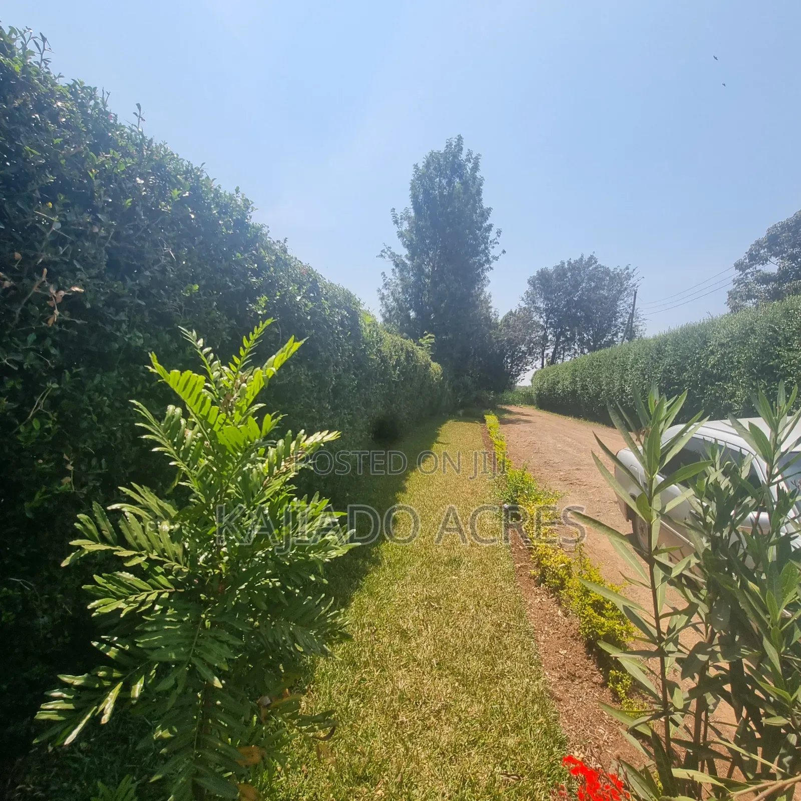 1.2 Acres Rhino Park at 78m in Karen