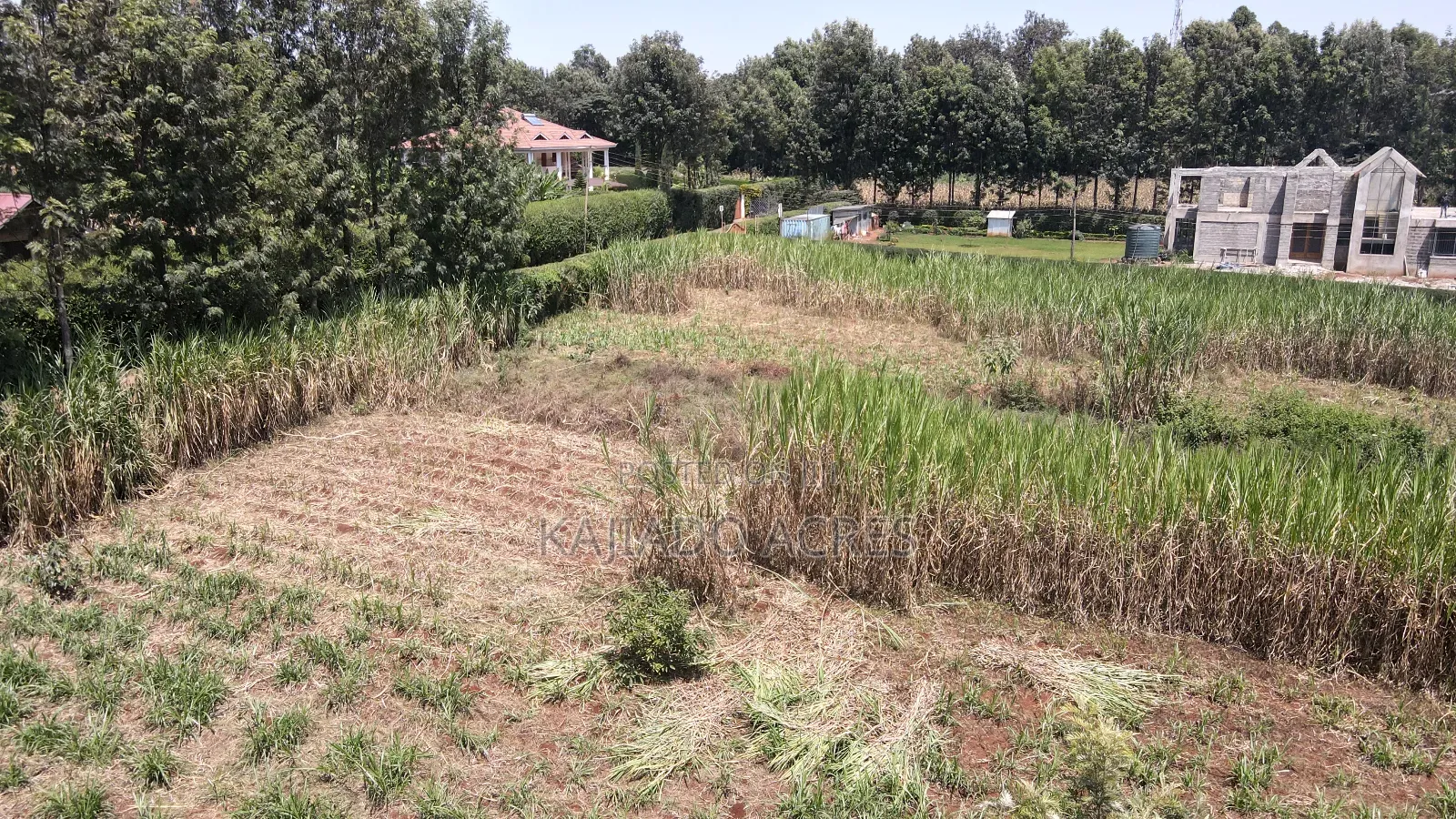 1.2 Acres Rhino Park at 78m in Karen