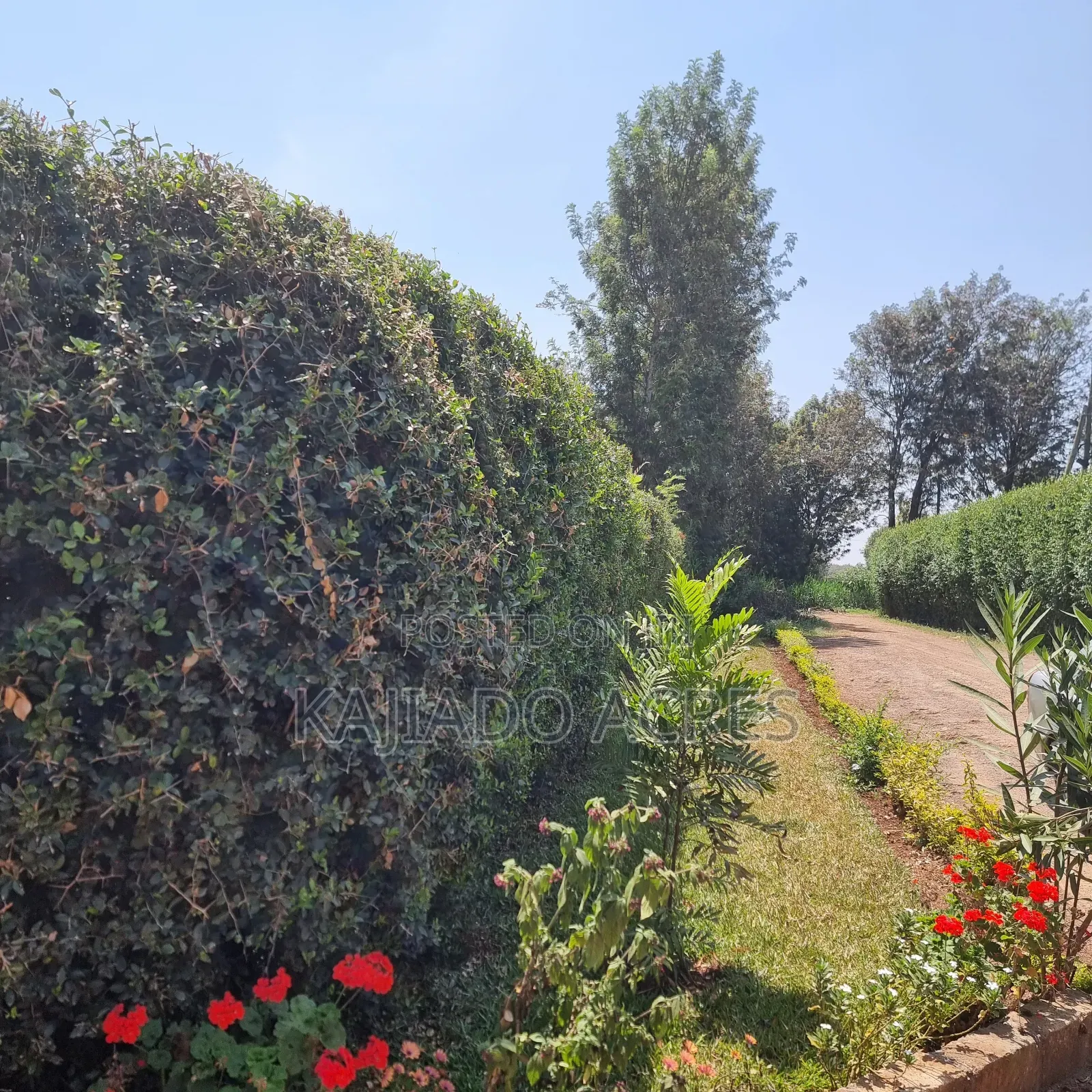 1.2 Acres Rhino Park at 78m in Karen
