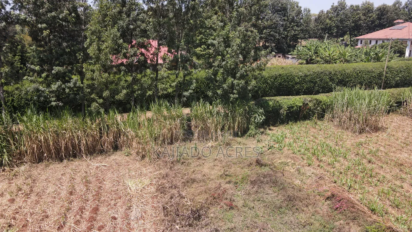 1.2 Acres Rhino Park at 78m in Karen
