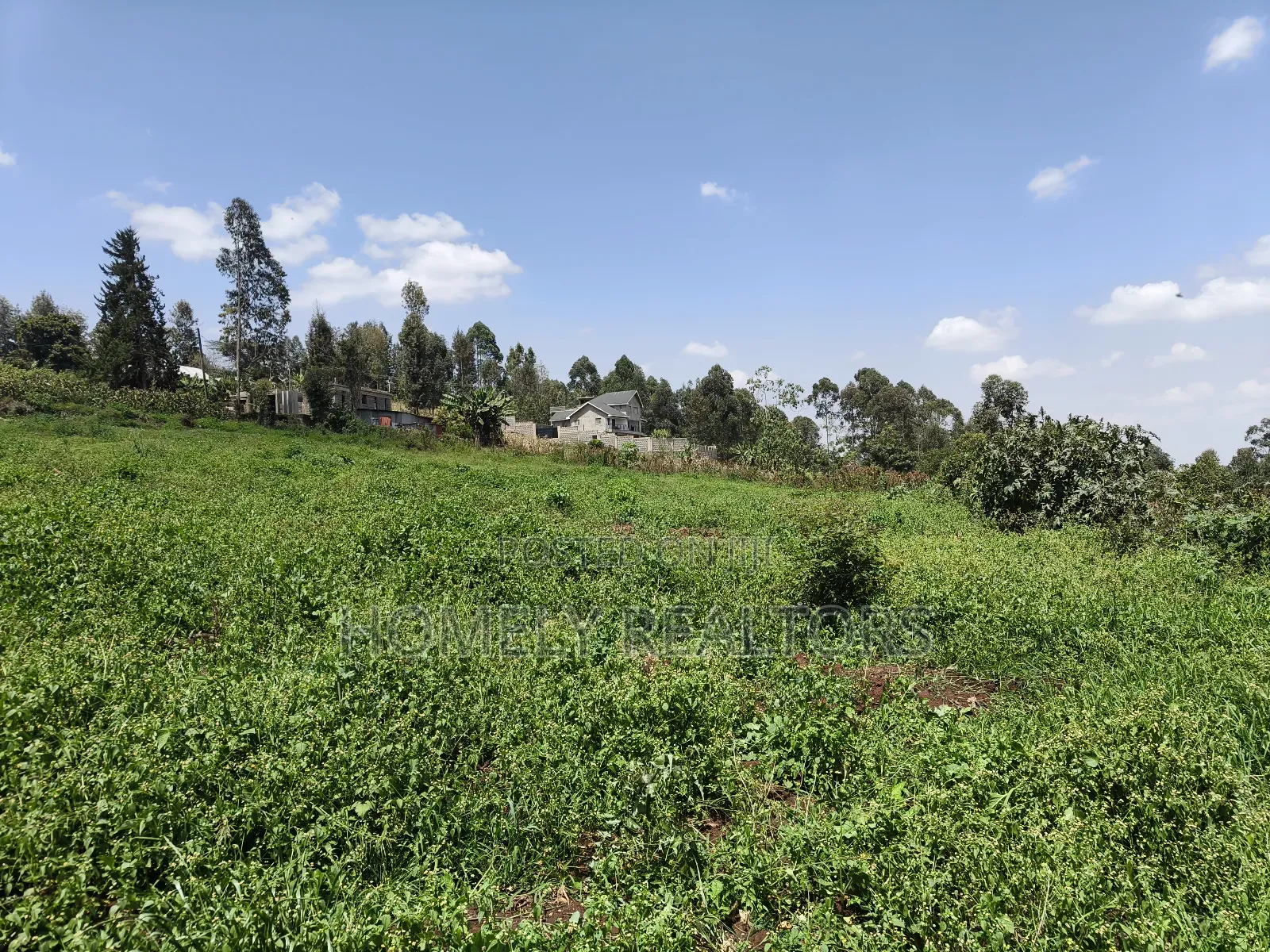 3 Acres of Land for Sale in Ngong, Kahara Road Plus Farm Buildings in Ngong