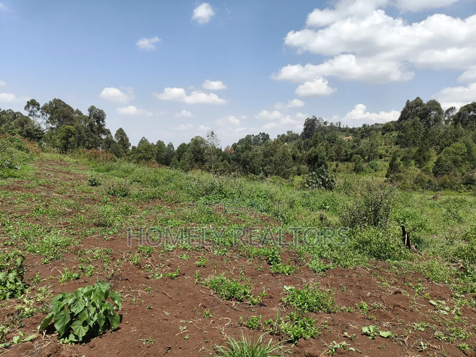 3 Acres of Land for Sale in Ngong, Kahara Road Plus Farm Buildings in Ngong