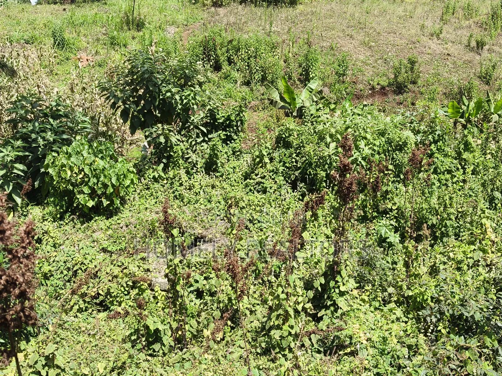 3 Acres of Land for Sale in Ngong, Kahara Road Plus Farm Buildings in Ngong