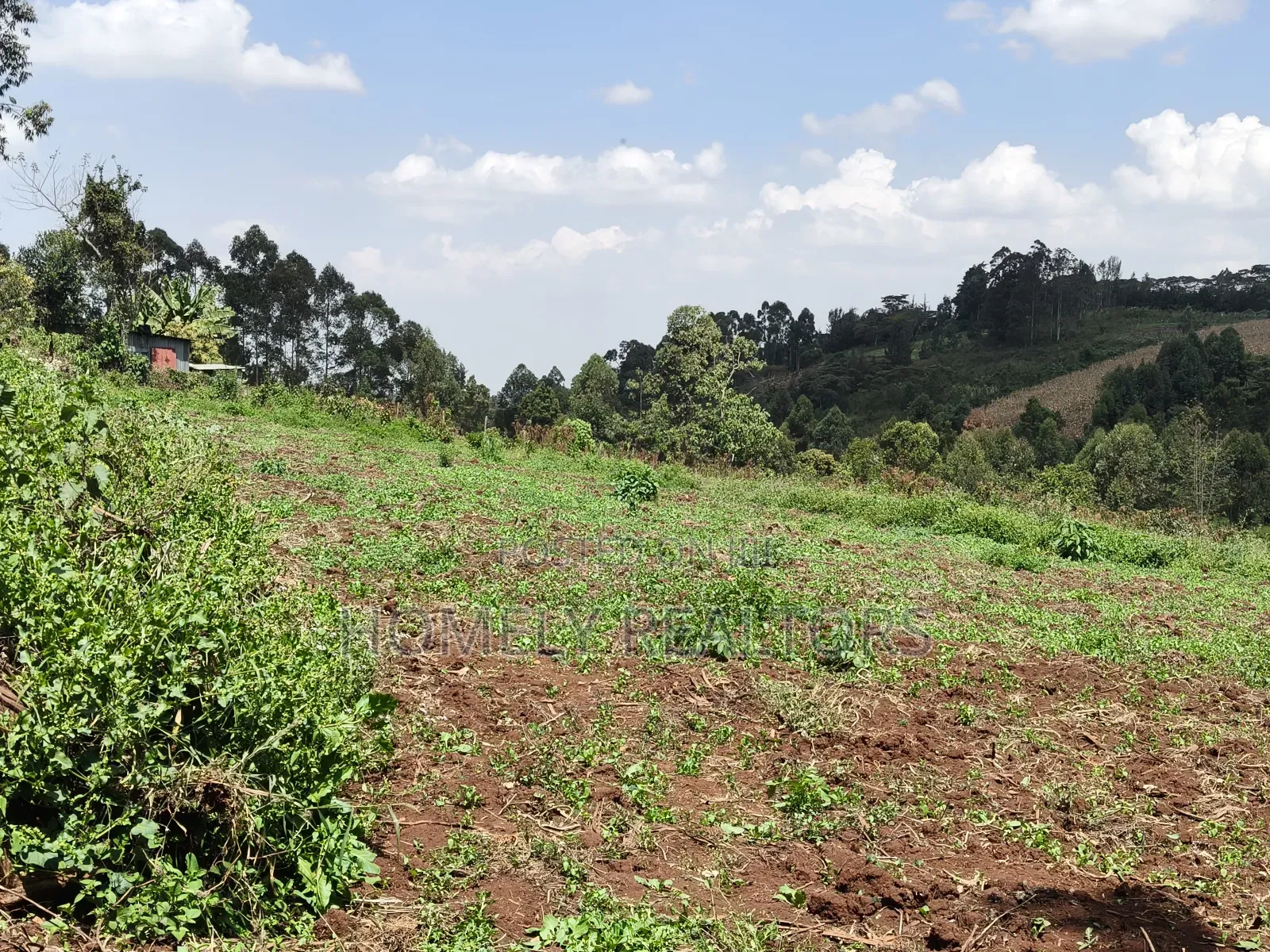 3 Acres of Land for Sale in Ngong, Kahara Road Plus Farm Buildings in Ngong