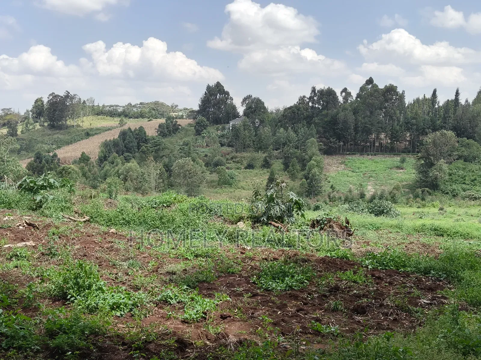 3 Acres of Land for Sale in Ngong, Kahara Road Plus Farm Buildings in Ngong