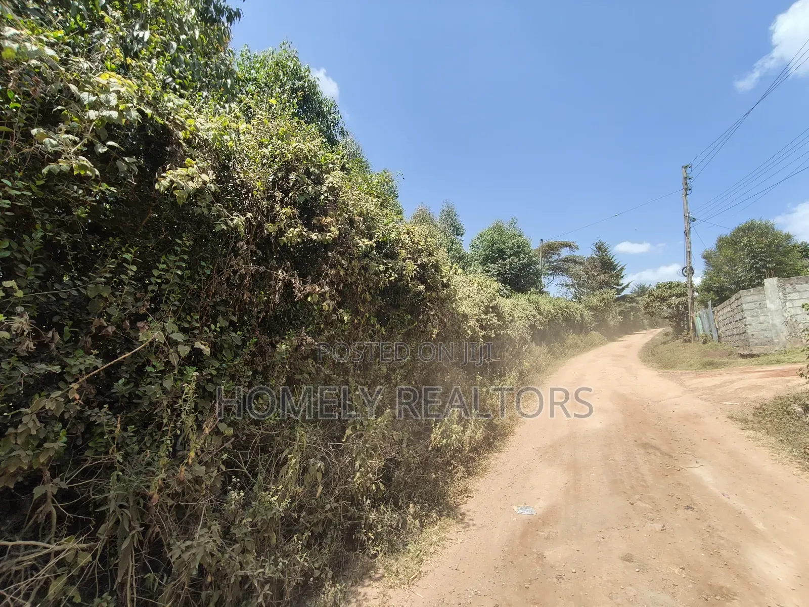 2.3 Acres of Land on Sale in Ngong Kahara. Has Trees Touches Main Road in Ngong