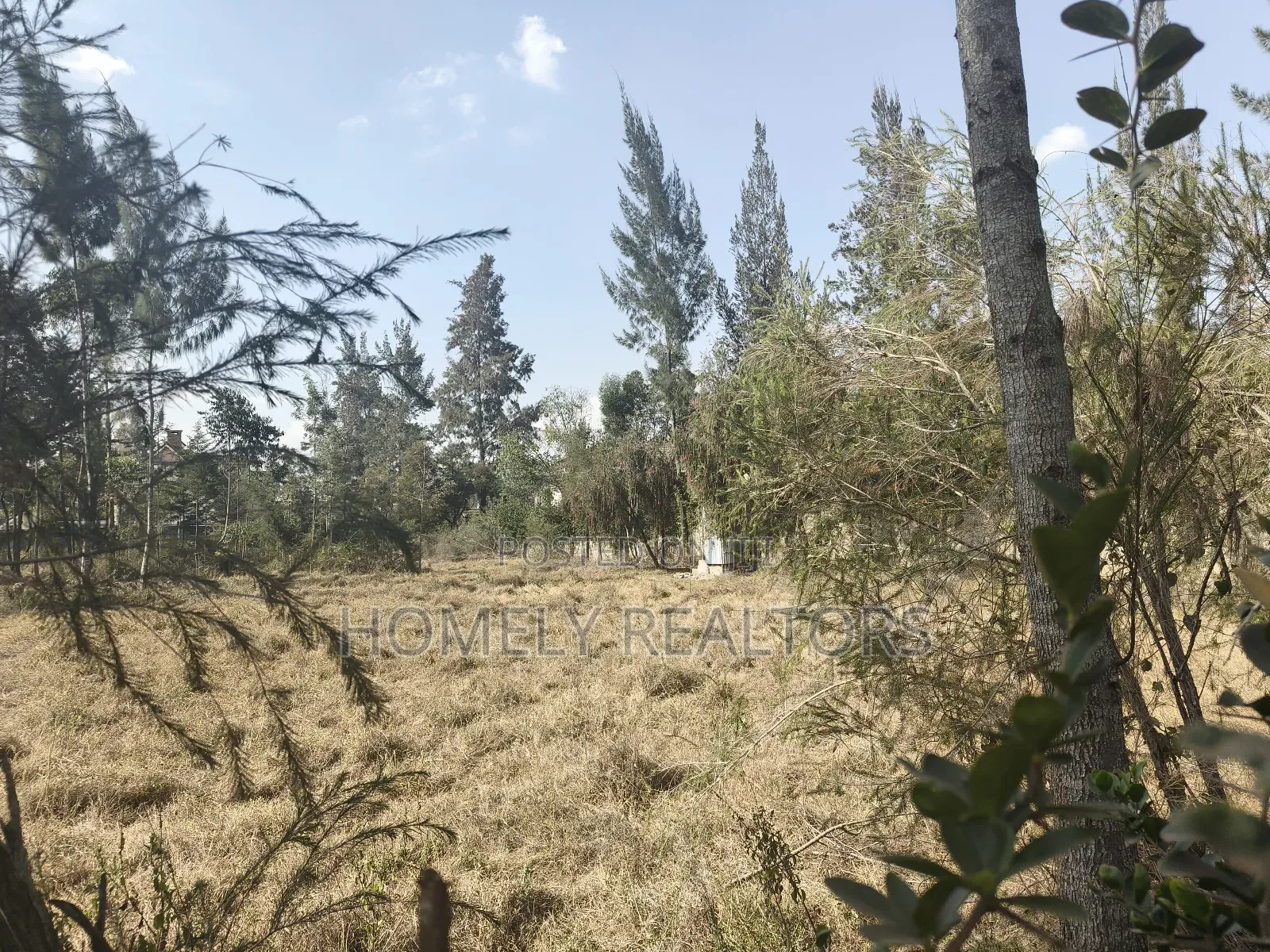 One Acre Piece of Land for Sale in Karen, Nairobi. Very Accessible in Karen