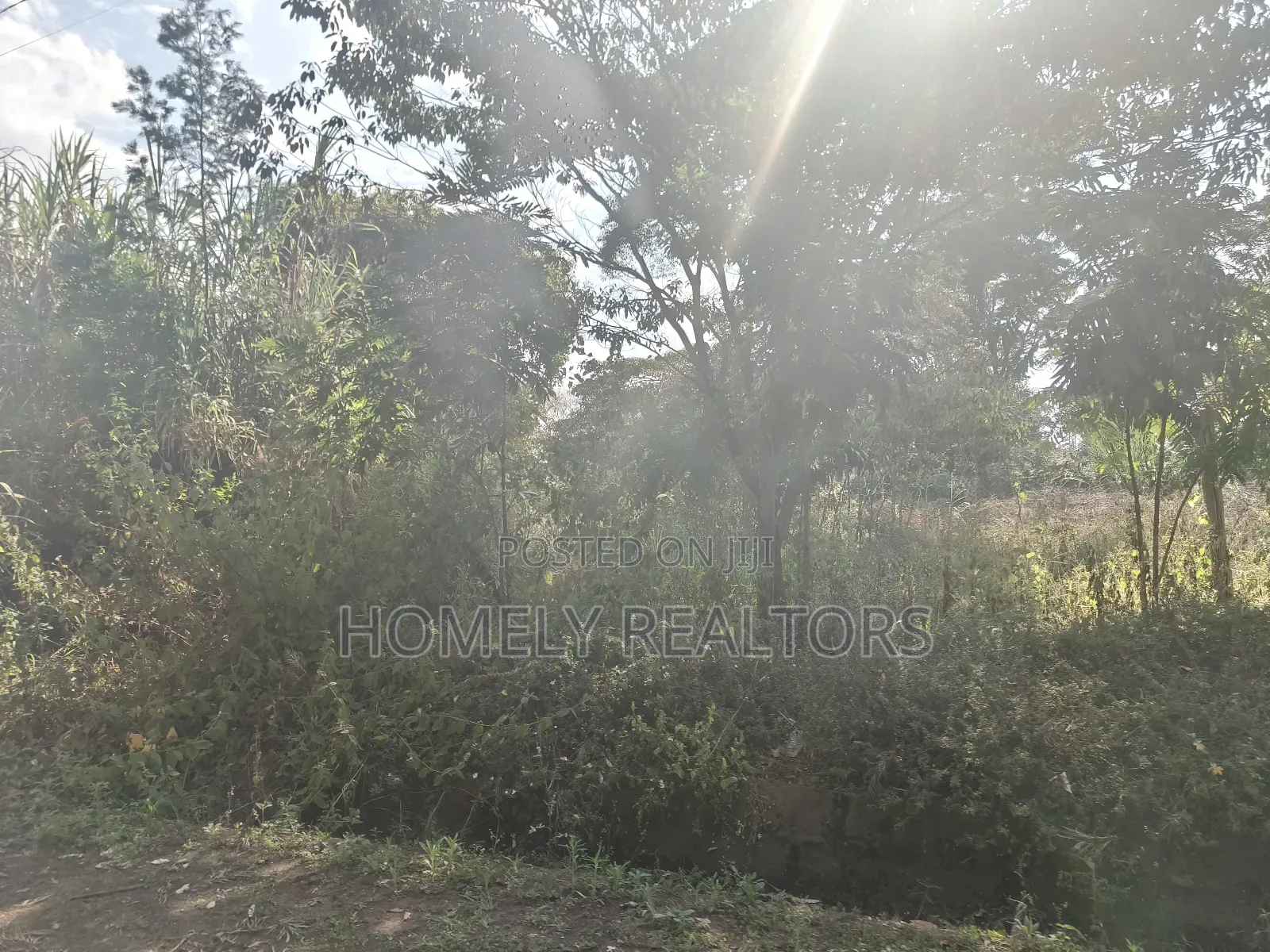 Half Acre Plot Is on Sale in Karen, Nairobi Within a Gated Community in Karen