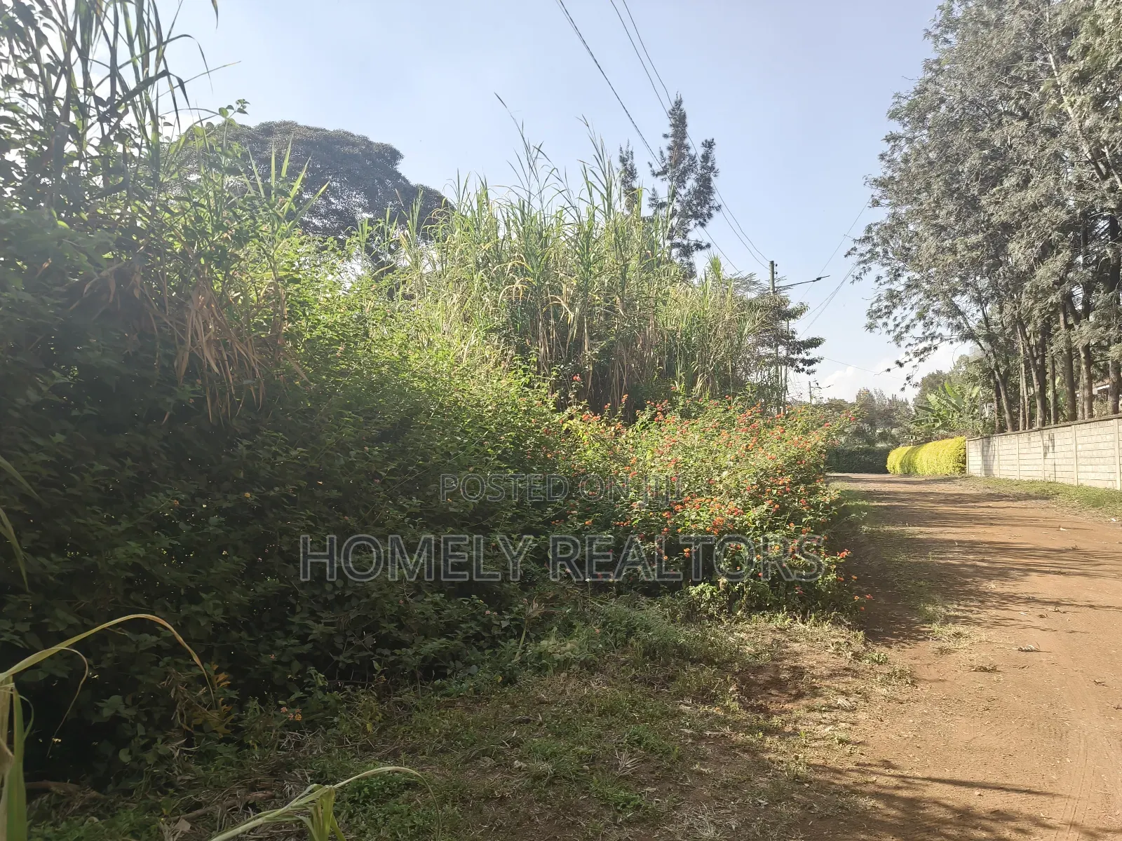 Half Acre Plot Is on Sale in Karen, Nairobi Within a Gated Community in Karen