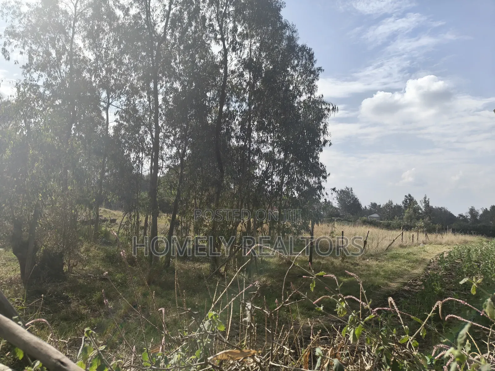 One Acre Piece of Land for Sale in Karen, Nairobi in Karen