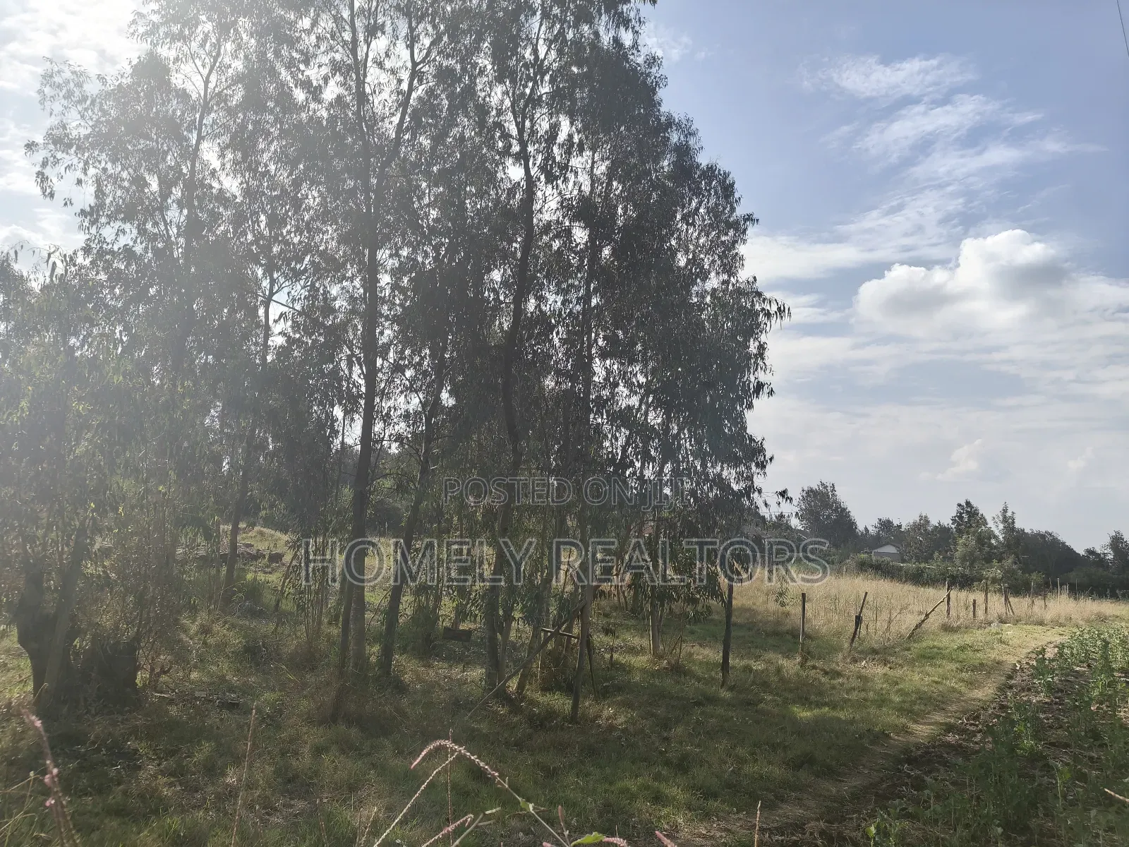 One Acre Piece of Land for Sale in Karen, Nairobi in Karen