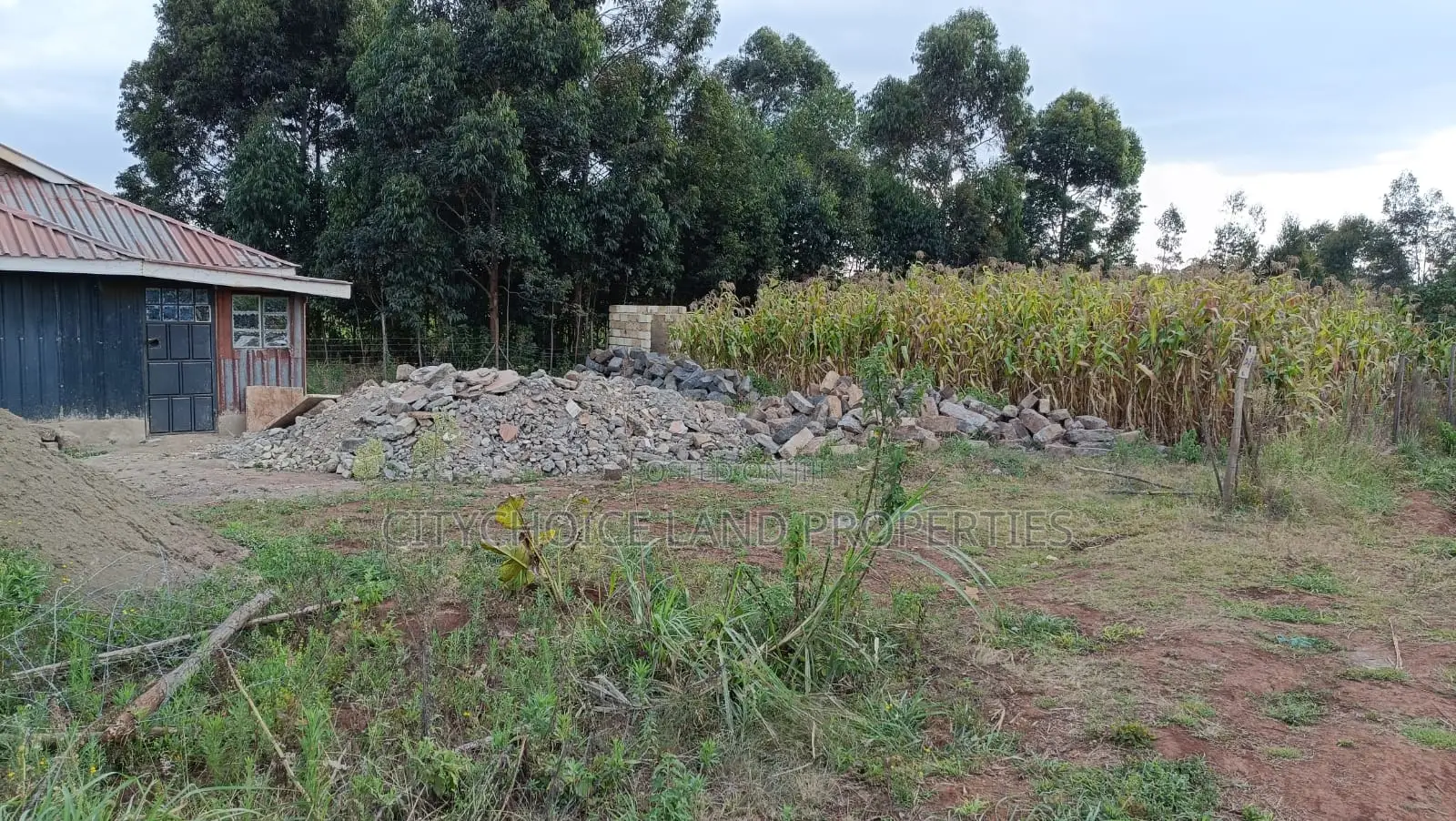 Affordable Prime Plot for Sale – Rironi Kiroe in Muguga