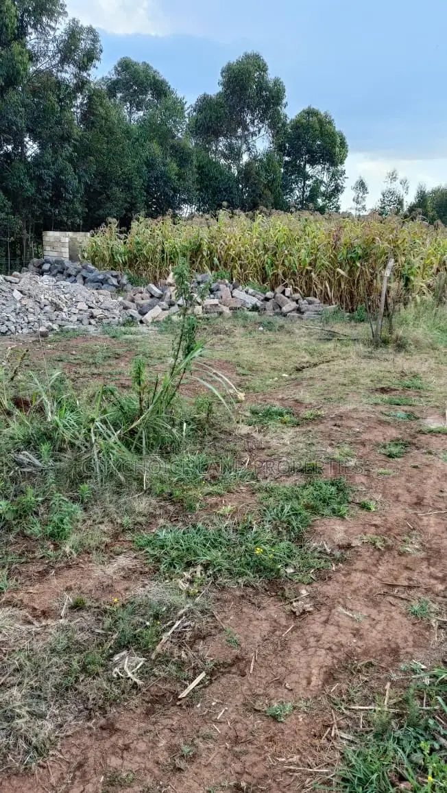 Affordable Prime Plot for Sale – Rironi Kiroe in Muguga