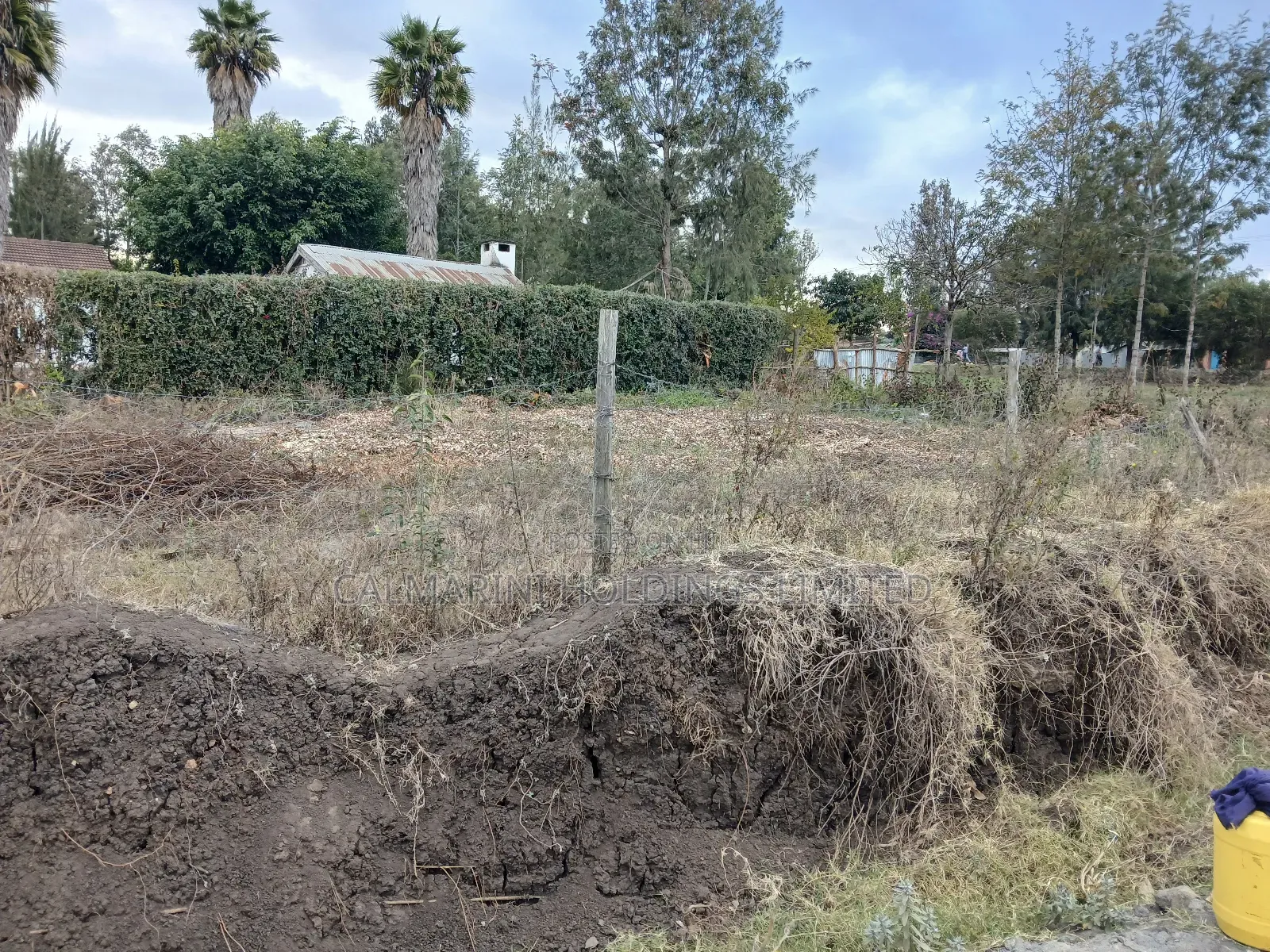 Prime Eighth Acre Plot 50 Metres Off Tarmac in Matasia in Matasia
