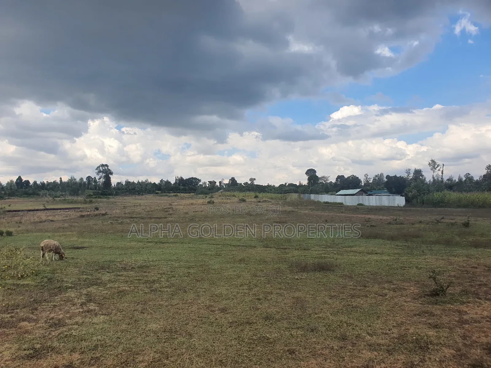 1 Acre in Daiga in Nanyuki