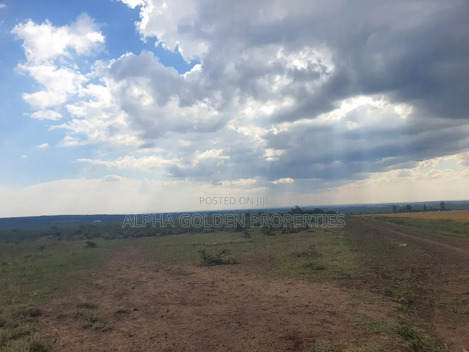 1 Acre in Daiga in Nanyuki