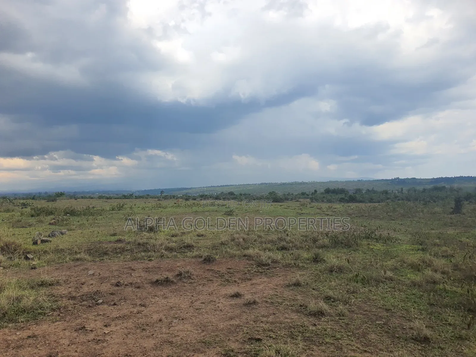 1 Acre in Daiga in Nanyuki