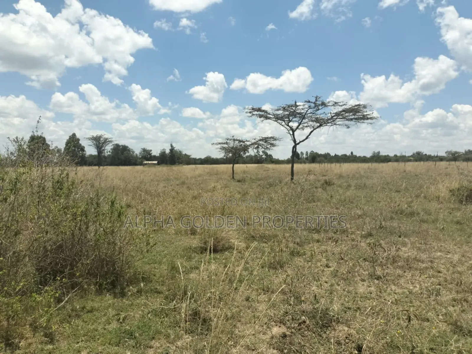 3.2 Acres in Sweetwaters in Nanyuki