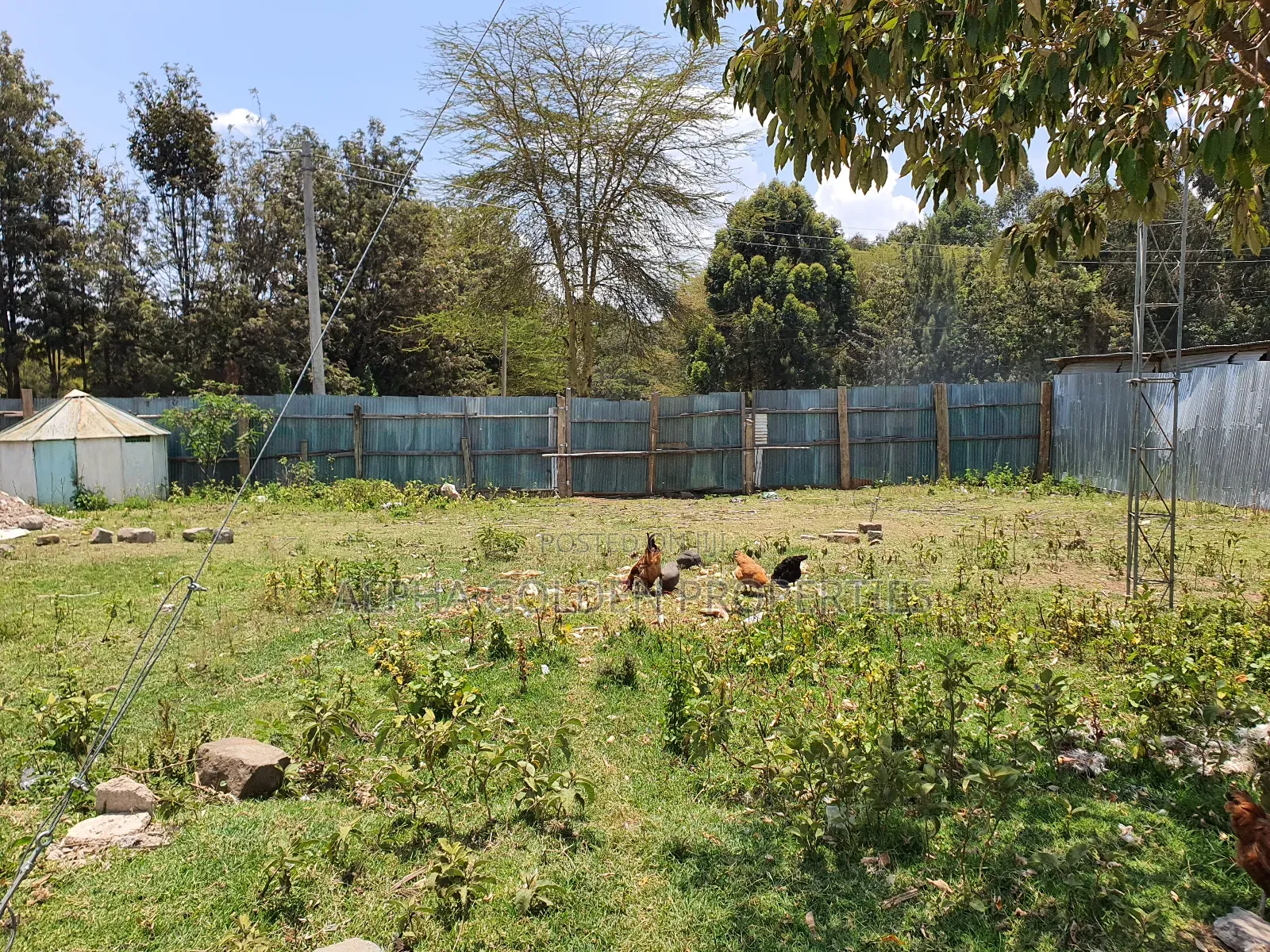 Nanyuki Town Plots in Nanyuki